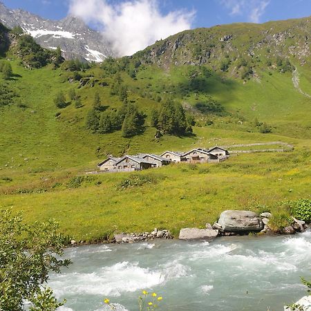 Gaestehaus Zedlacherhof Matrei in Osttirol Esterno foto