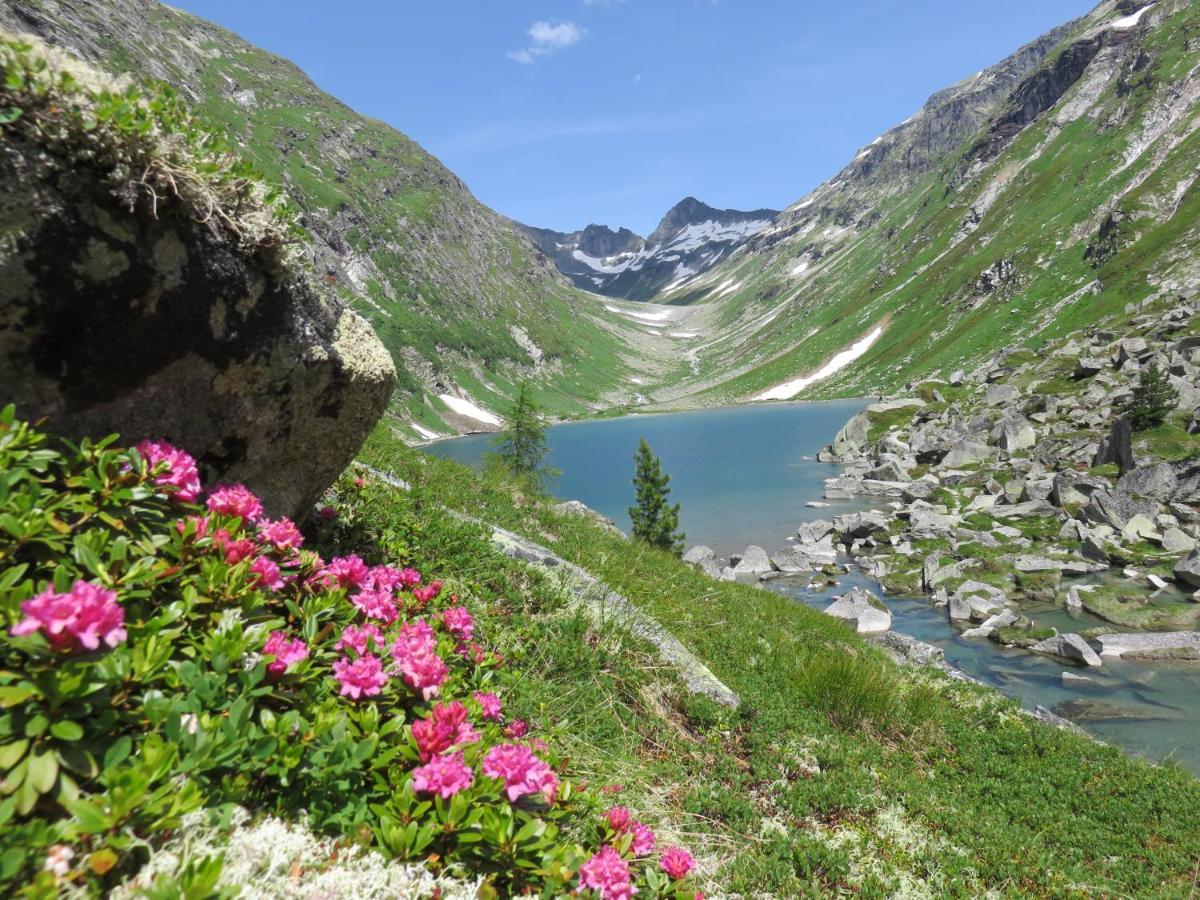 Gaestehaus Zedlacherhof Matrei in Osttirol Esterno foto