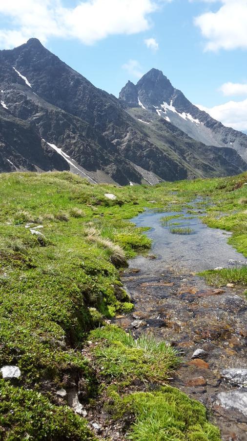 Gaestehaus Zedlacherhof Matrei in Osttirol Esterno foto