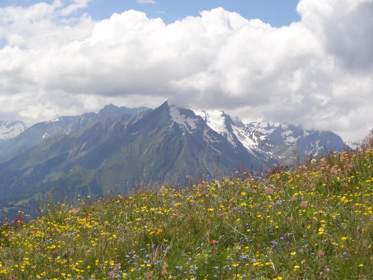 Gaestehaus Zedlacherhof Matrei in Osttirol Esterno foto